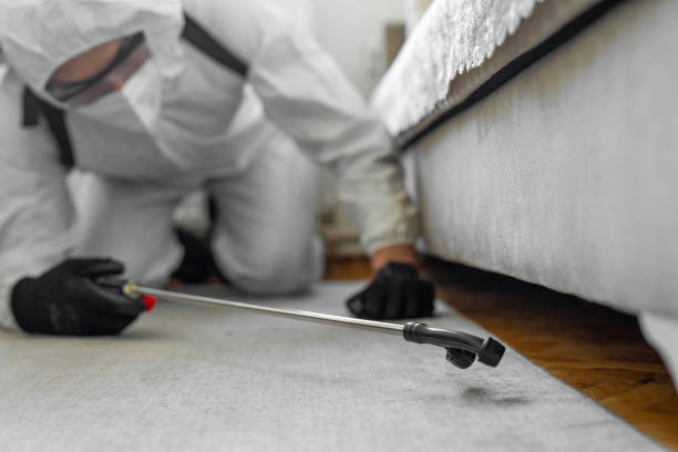 Professional Bed Bug Control technician working in Ukiah, CA