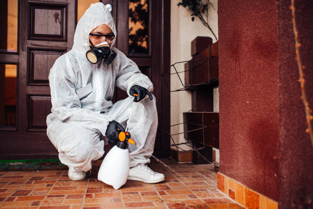 Reliable Bed Bug Control contractor in Ukiah, CA by Nex Pest Control